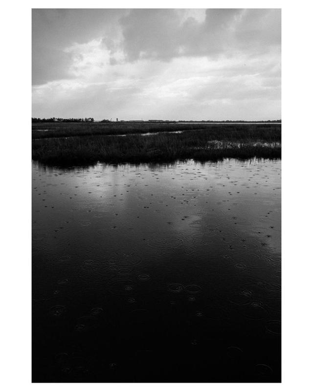 https://draxi6k9d7q0g.cloudfront.net/vista/resized/DSCF3182@0.0625.jpg