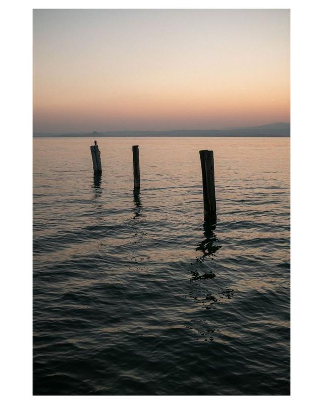 https://draxi6k9d7q0g.cloudfront.net/vista/resized/_DSF5318@0.0625.jpg